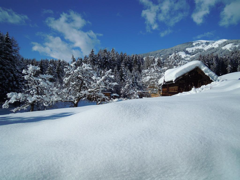 Biobauernhof Kleinummerstall Mittersill Dış mekan fotoğraf