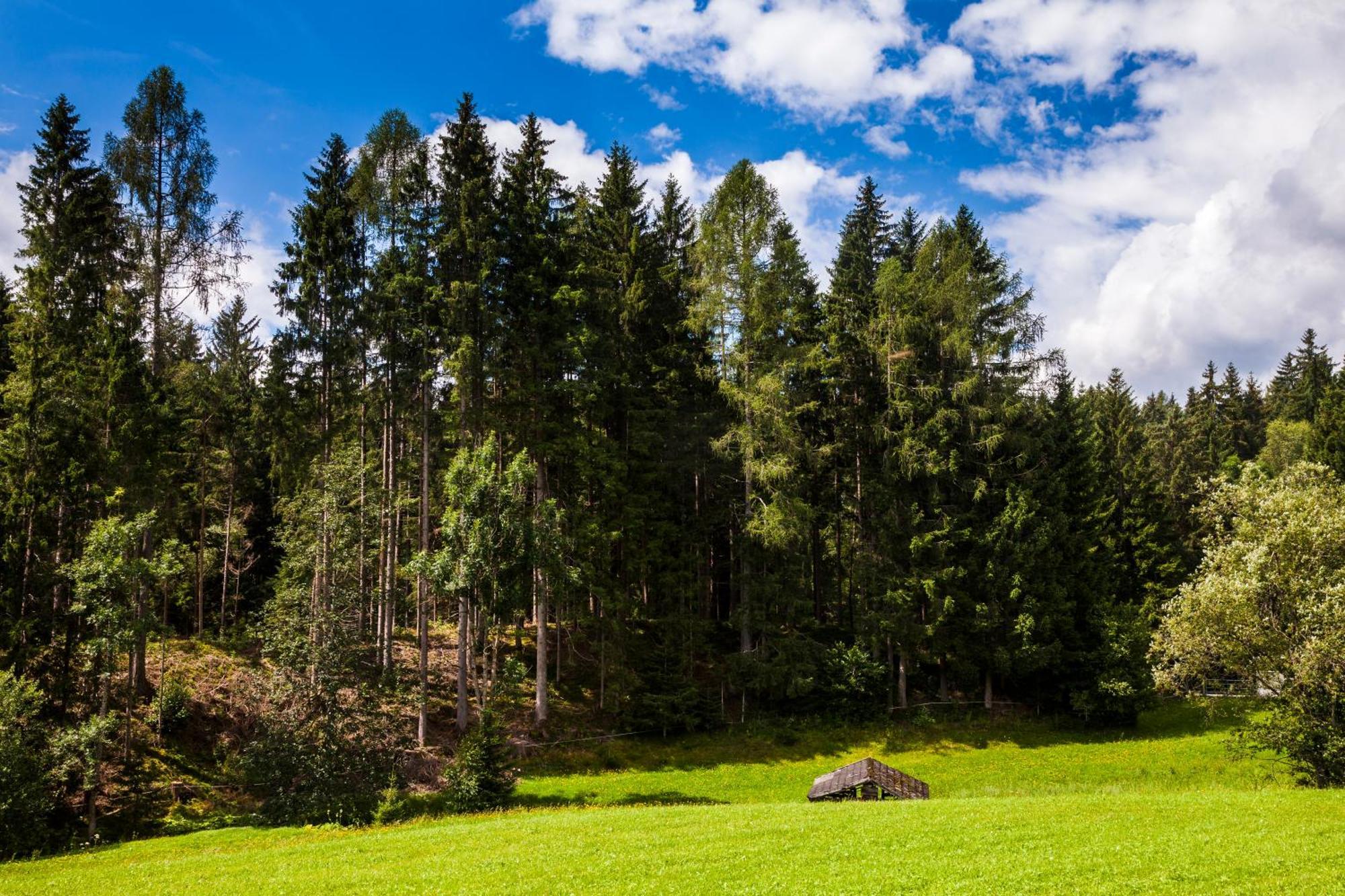 Biobauernhof Kleinummerstall Mittersill Dış mekan fotoğraf